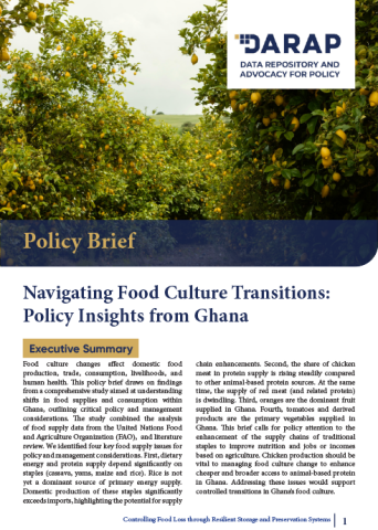 Navigating Food Culture Transitions:  Policy Insights from Ghana