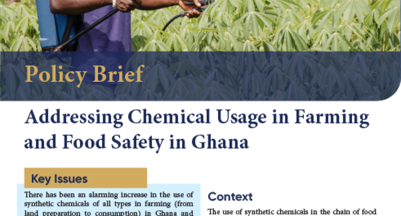 Addressing Chemical Usage in Farming and Food Safety in Ghana