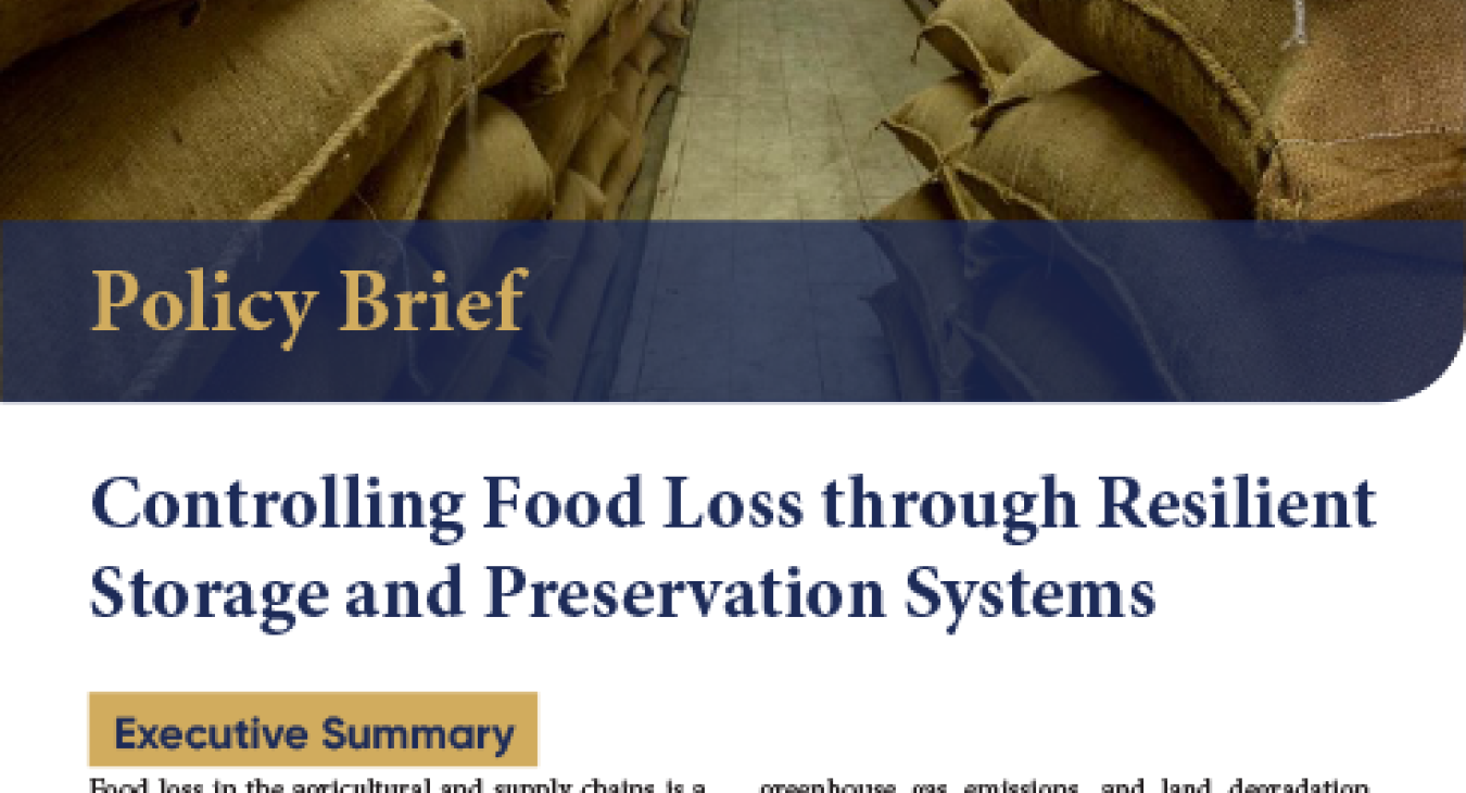 Controlling Food Loss through Resilient Storage and Preservation Systems